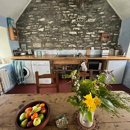 -Going Back In Time- 200 Year Old Farmhouse Creegh Exterior photo