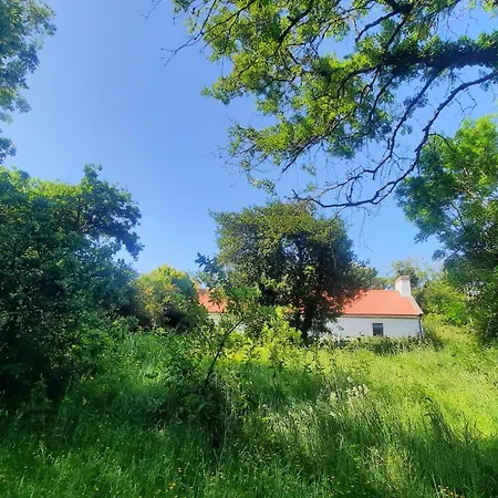 -Going Back In Time- 200 Year Old Farmhouse Creegh Exterior photo